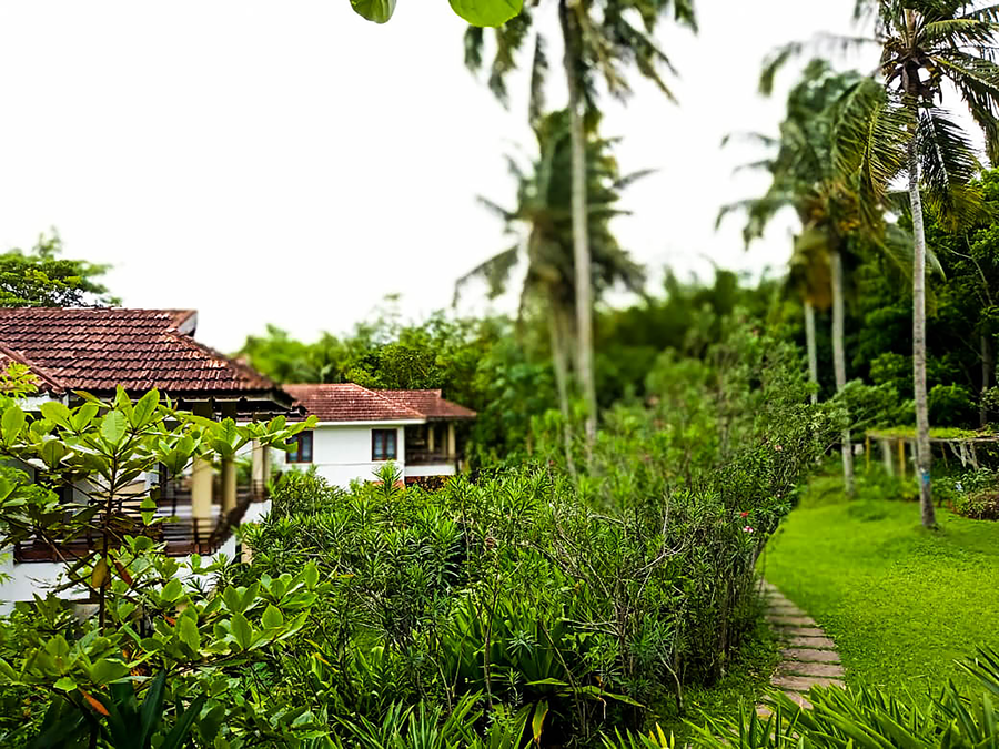 niraamaya retreats surya samudra kovalam