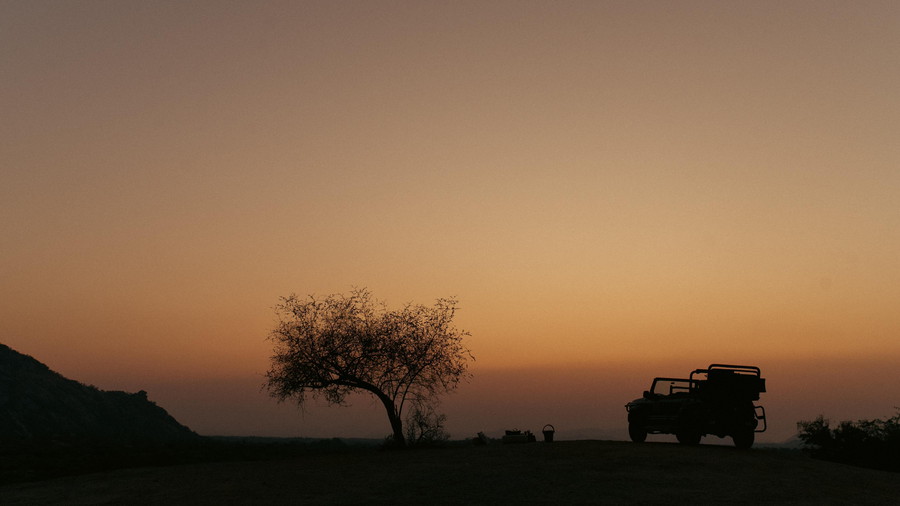 Brij Pola, Jawai | Luxury Jungle Camp With Private Pools,Kothar,5 star