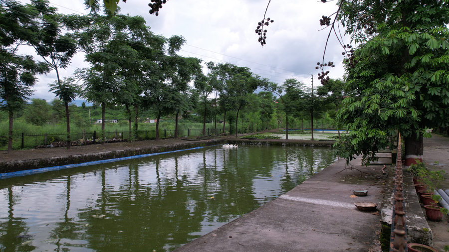 sukoon a wellness resort and spa