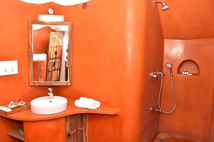 the earth at ranthambore