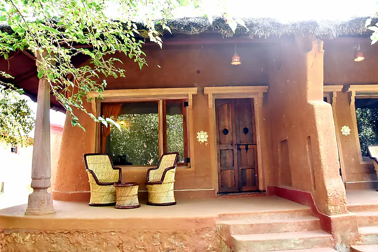 the earth at ranthambore