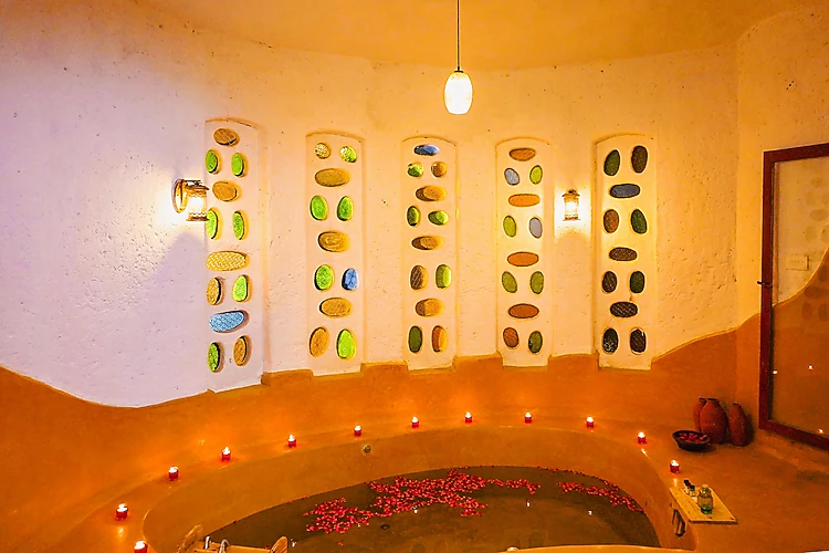 the earth at ranthambore