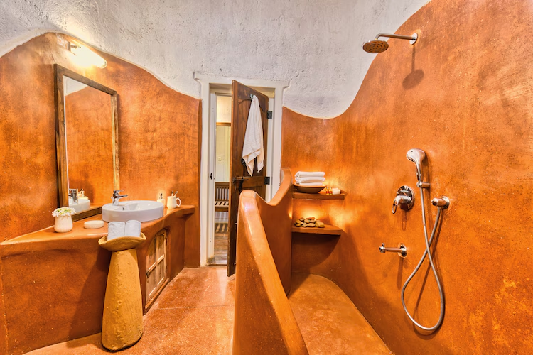 the earth at ranthambore