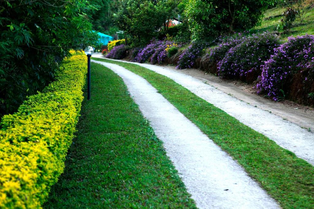 Camelot Resort,Laxmi Estate,4 star