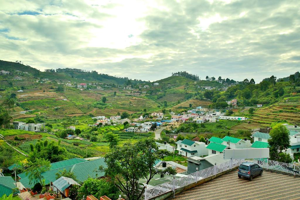 the tangerine resort