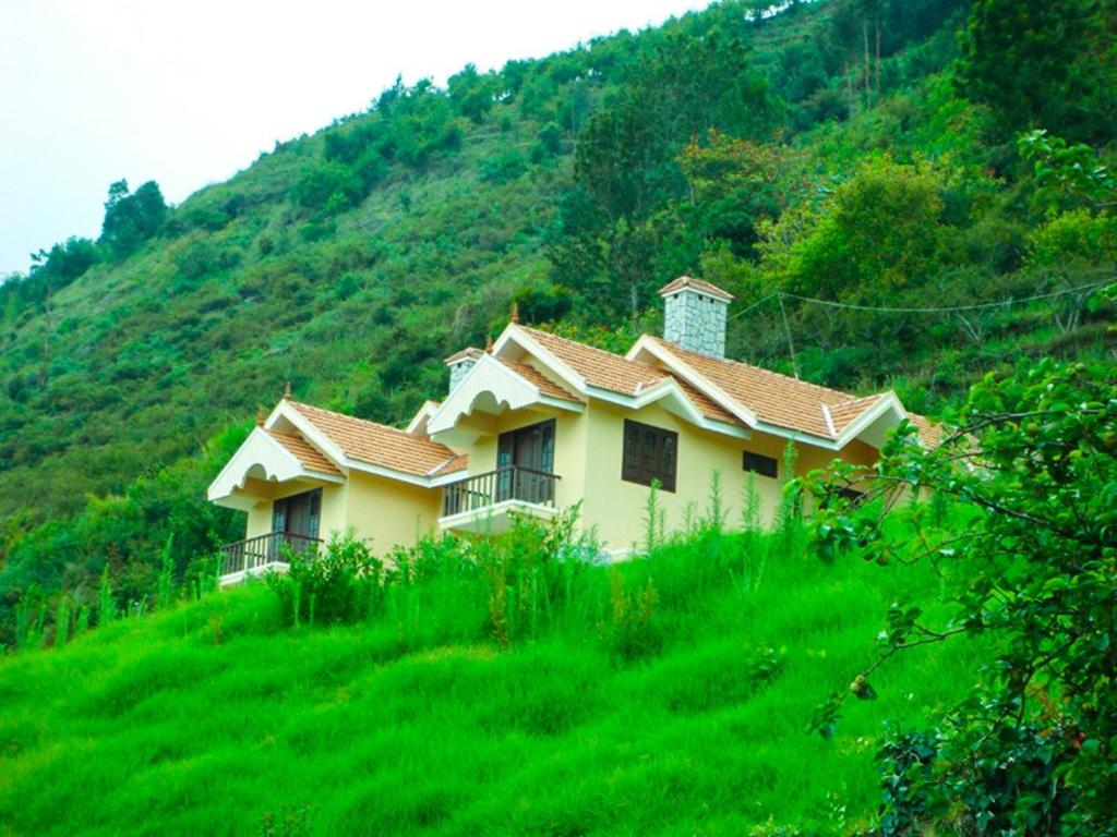 the tangerine resort