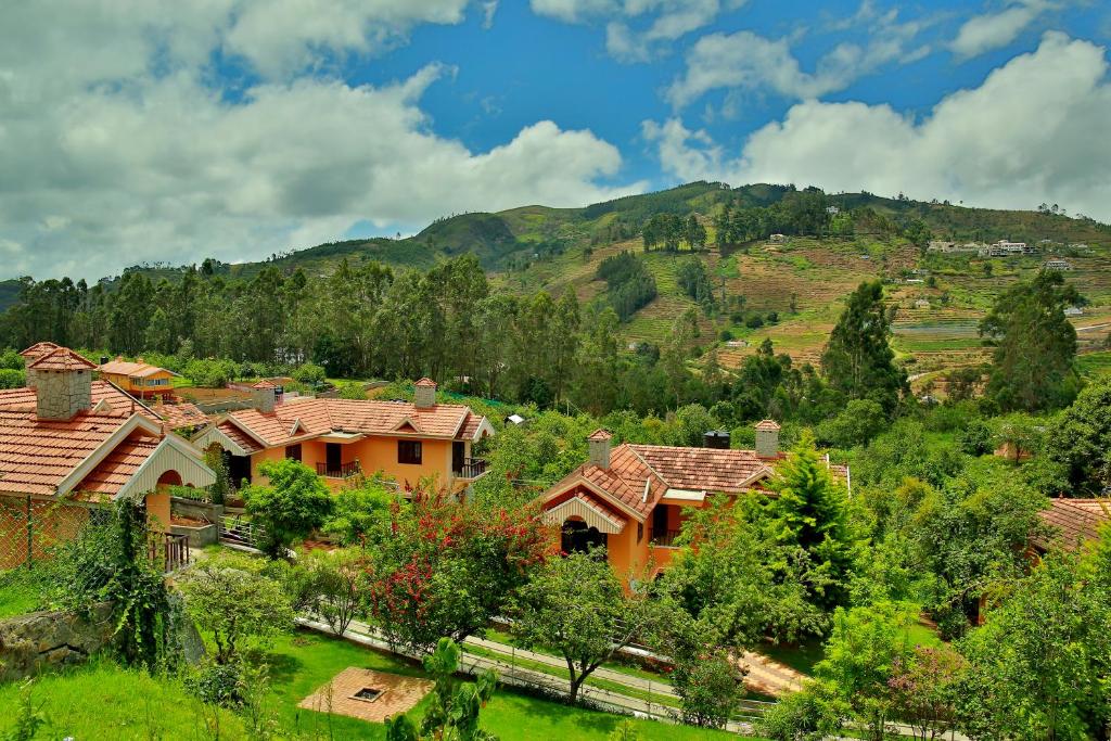 the tangerine resort