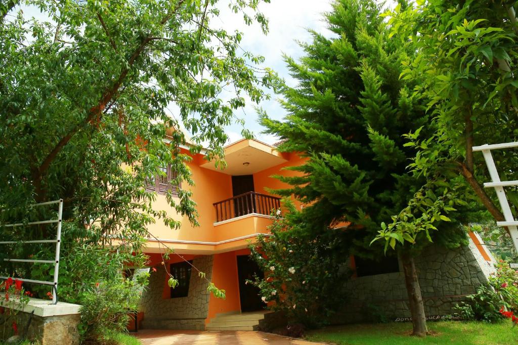 the tangerine resort