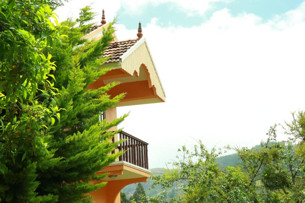 the tangerine resort