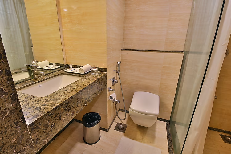 ginger vadodara alkapuri