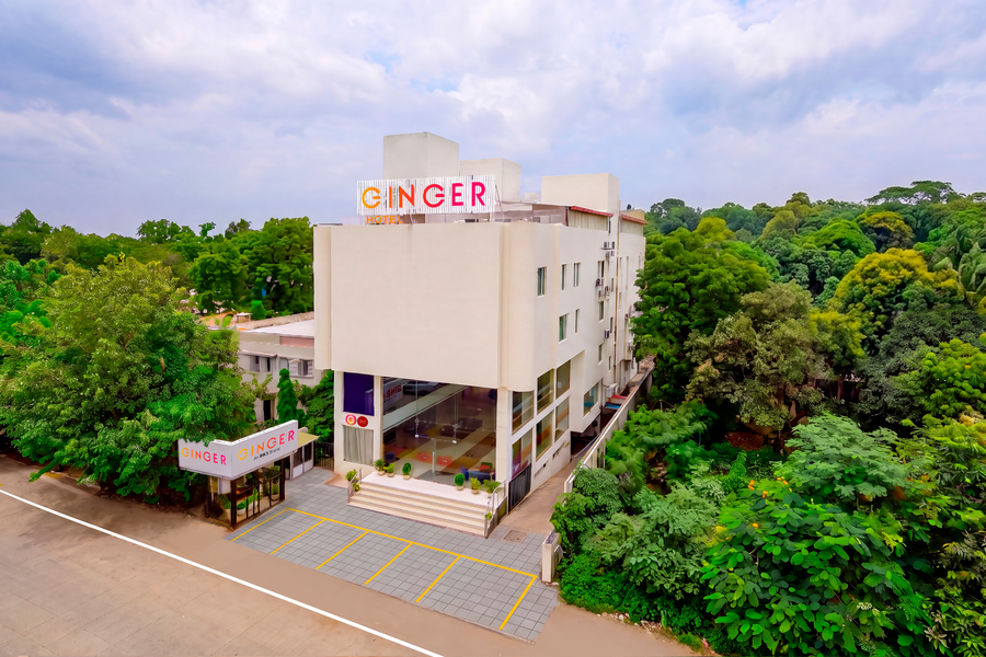 ginger bhavnagar