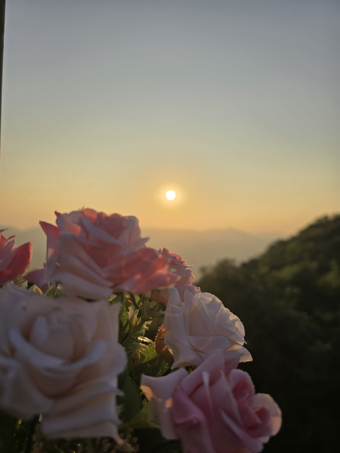 Hotel Le Belmont Mahabaleshwar,Central Mahabaleshwar,3 star