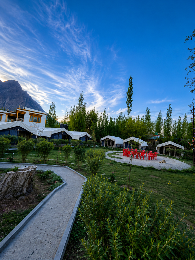 hotel nubra delight and camp