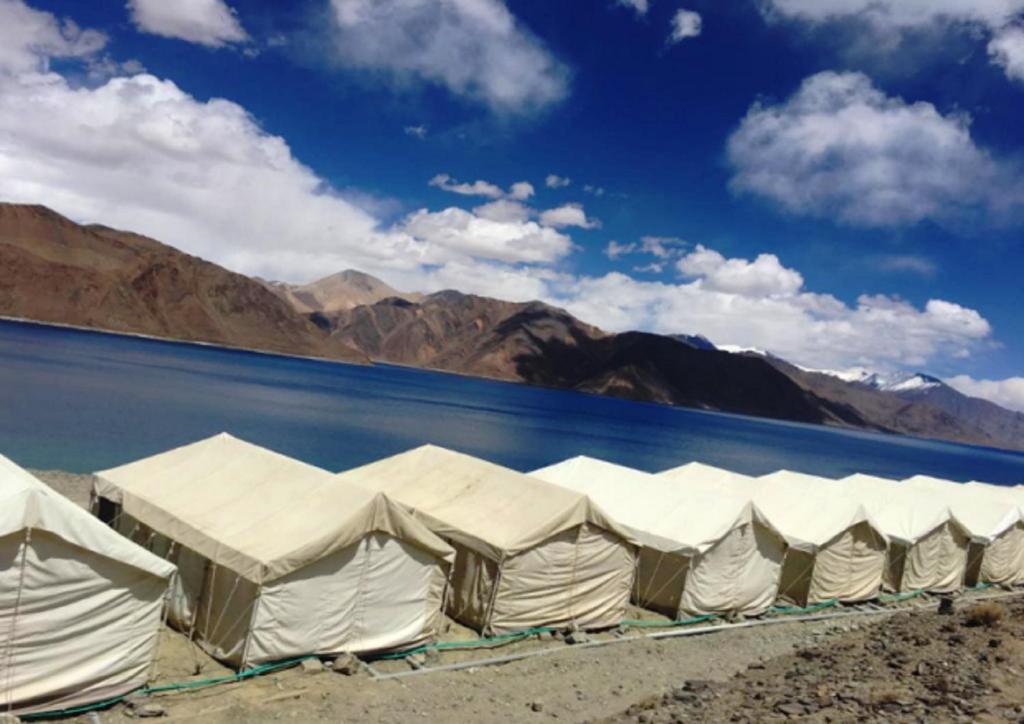 pangong