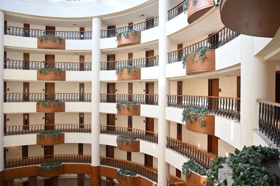savoy suites