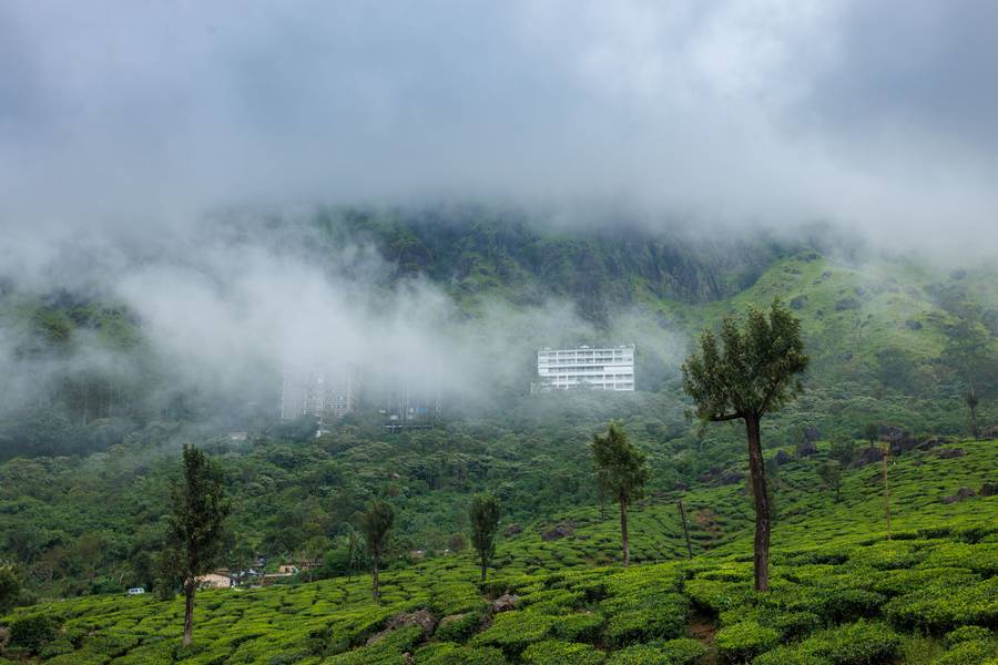 Amber Dale Luxury Hotel And Spa,Pallivasal,5 star