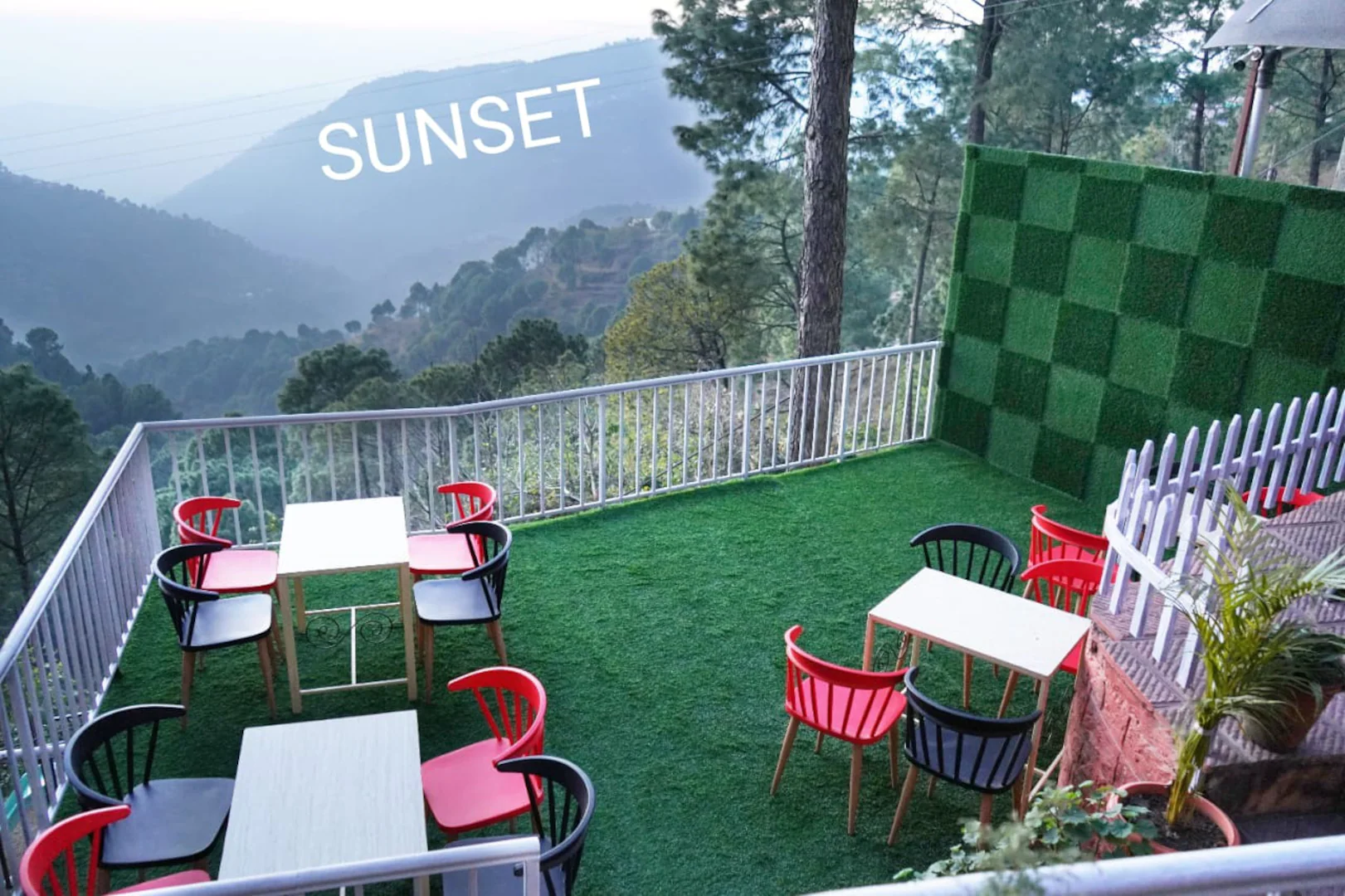 blossom resort kasauli