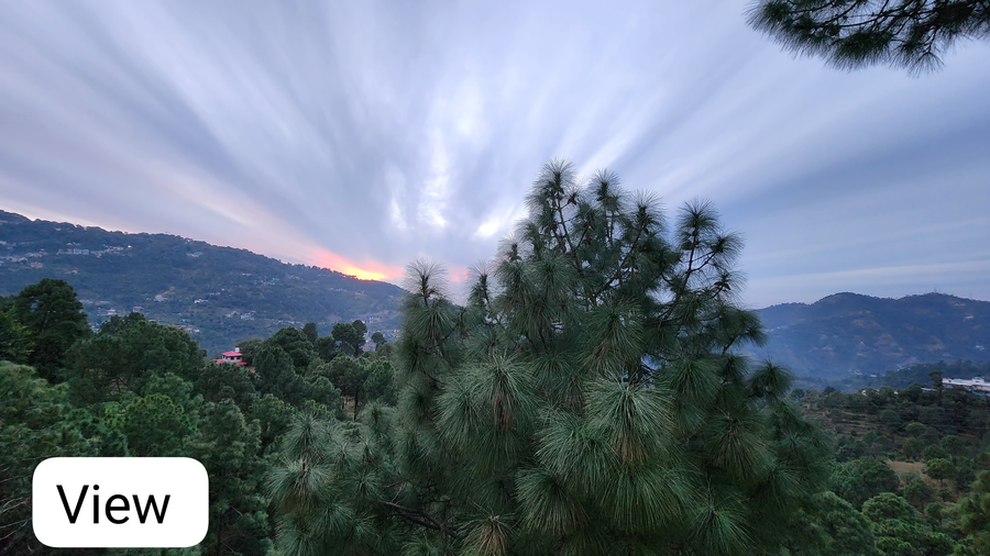 blossom resort kasauli