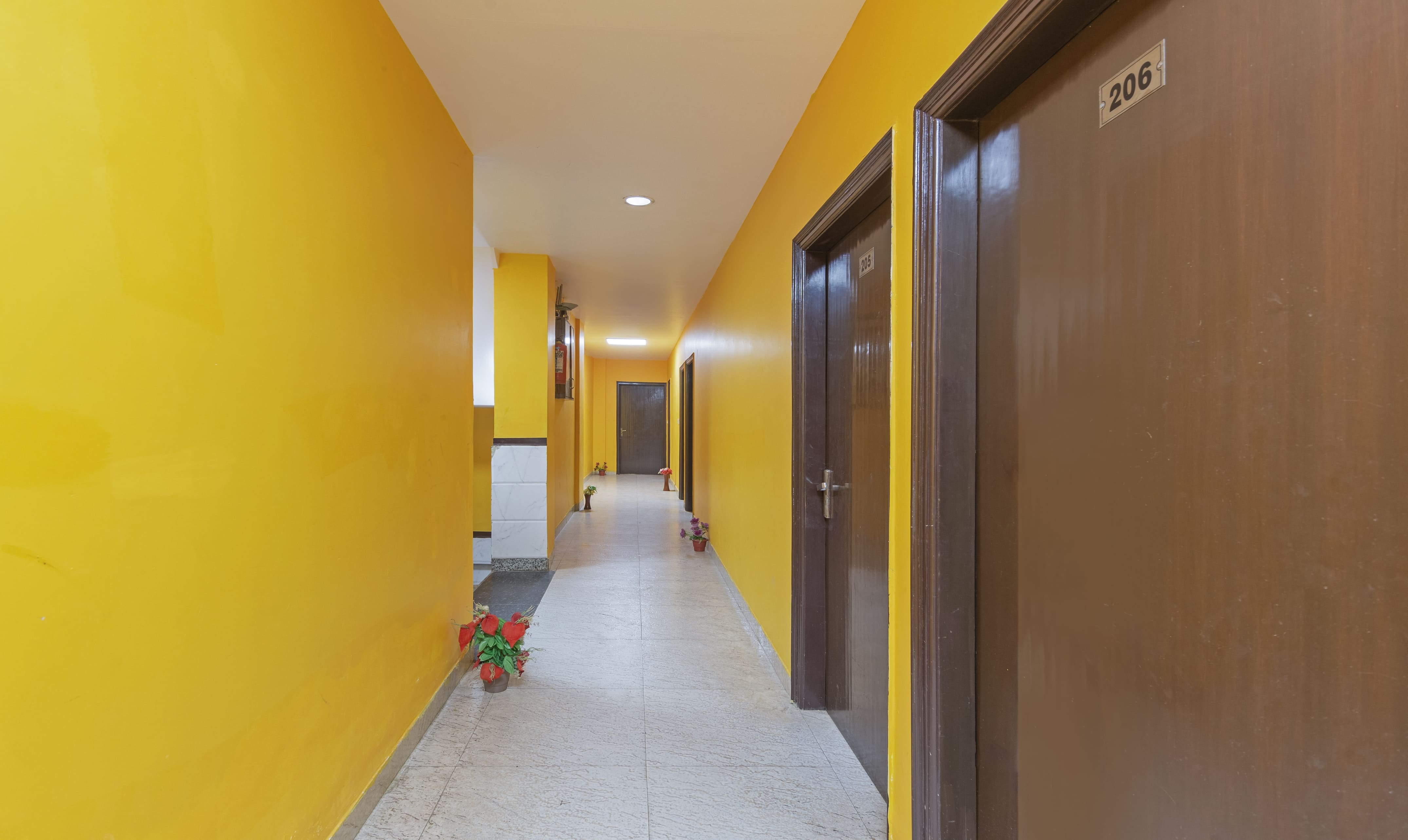 treebo green view noida