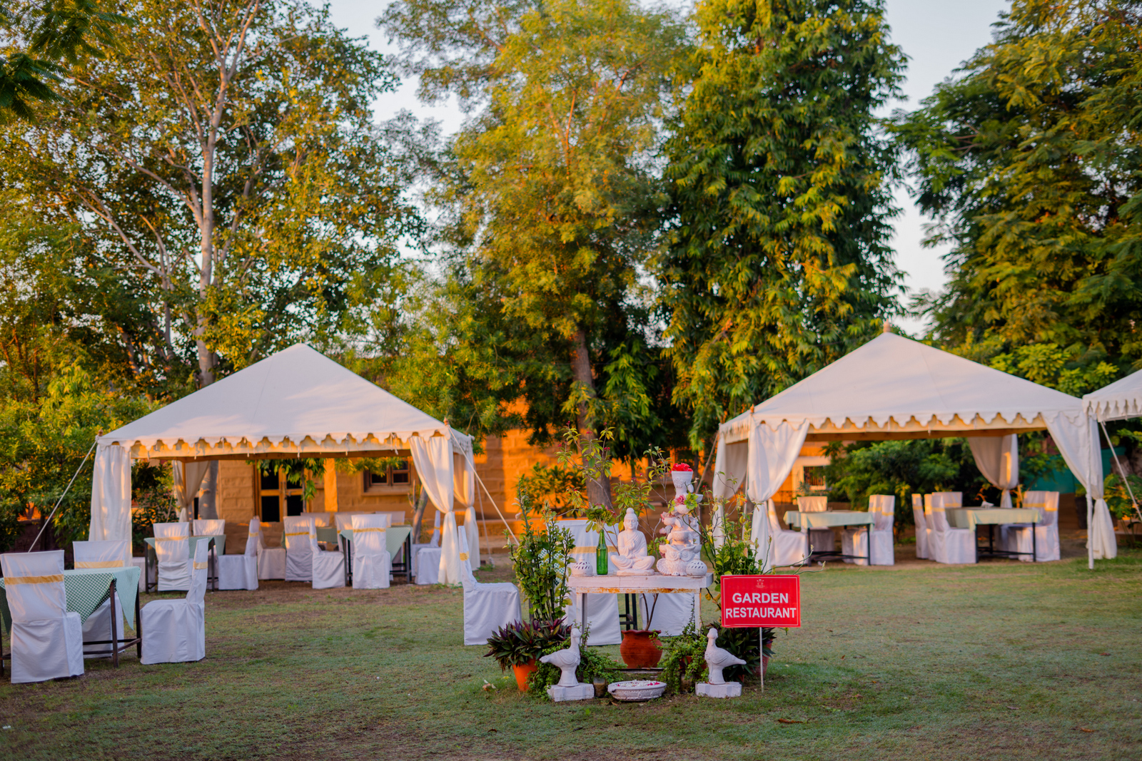 the desert haveli resort and camp