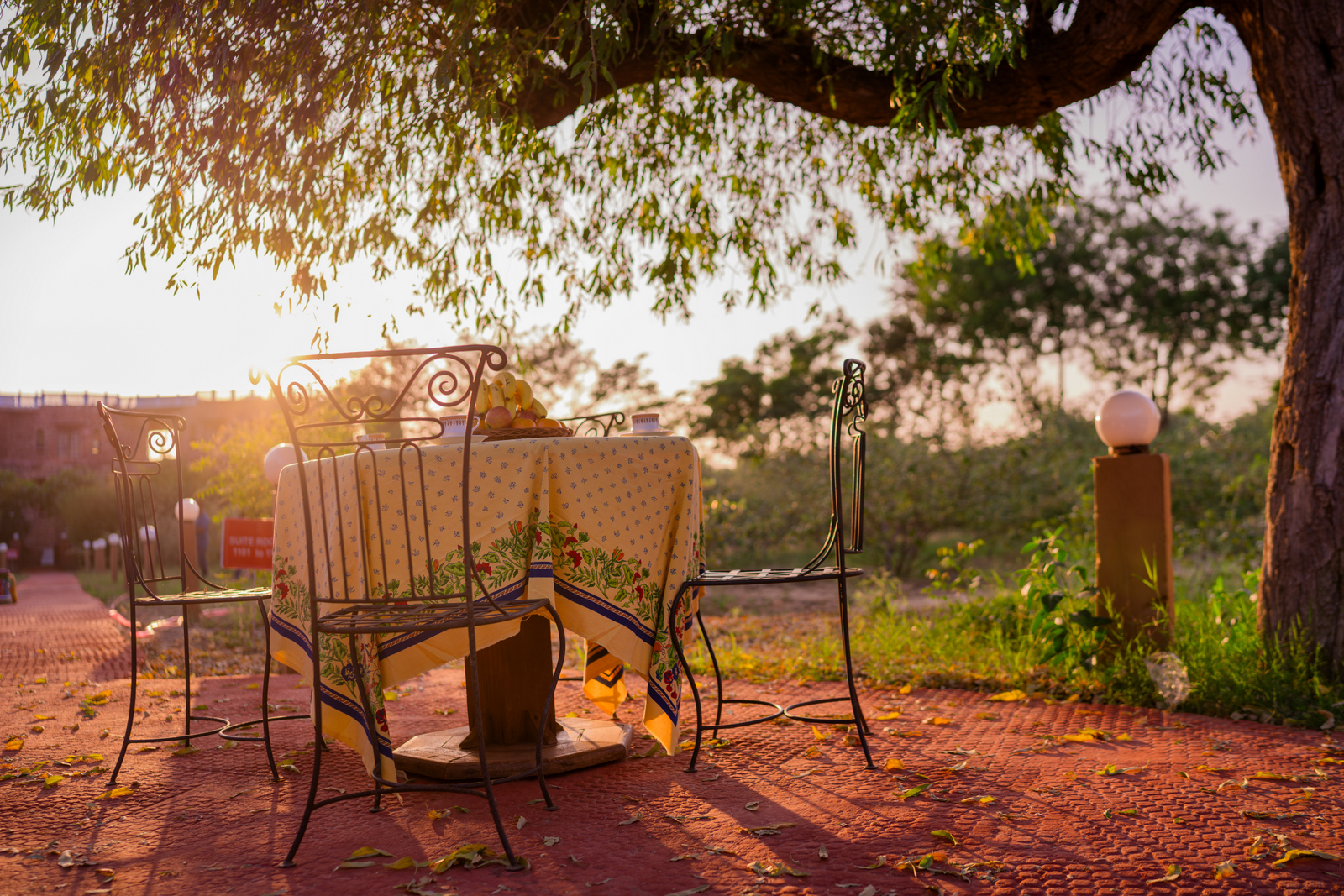 the desert haveli resort and camp