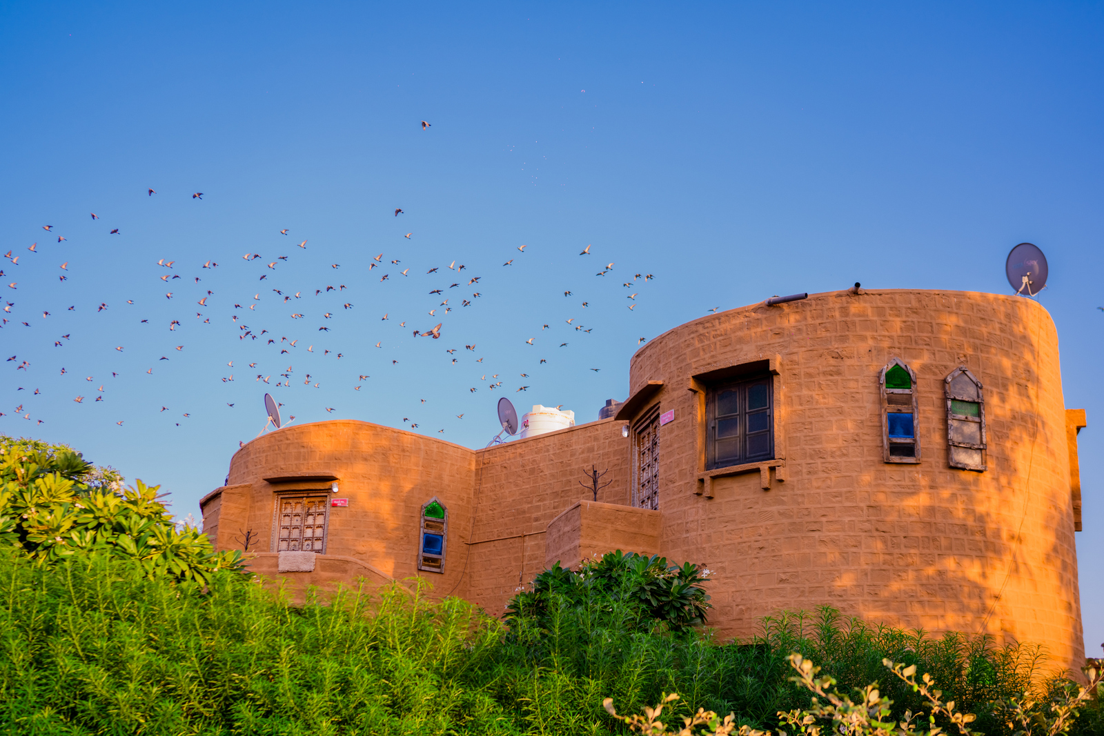 the desert haveli resort and camp