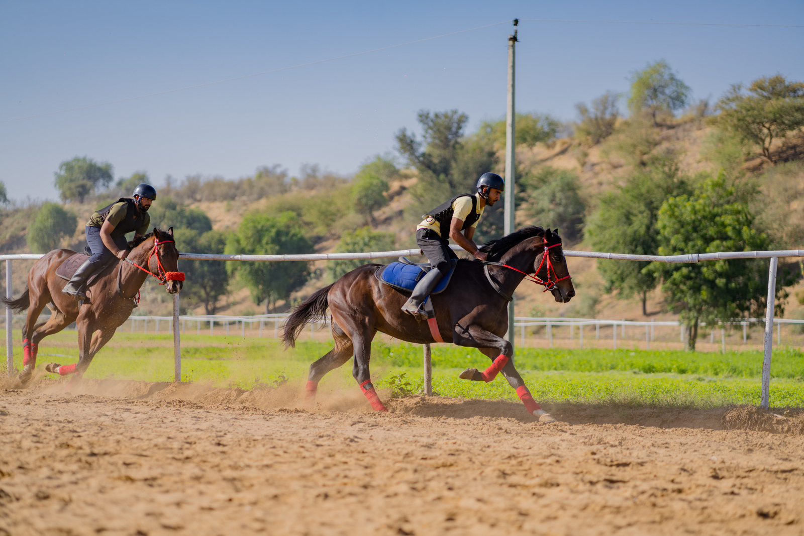 the desert haveli resort and camp