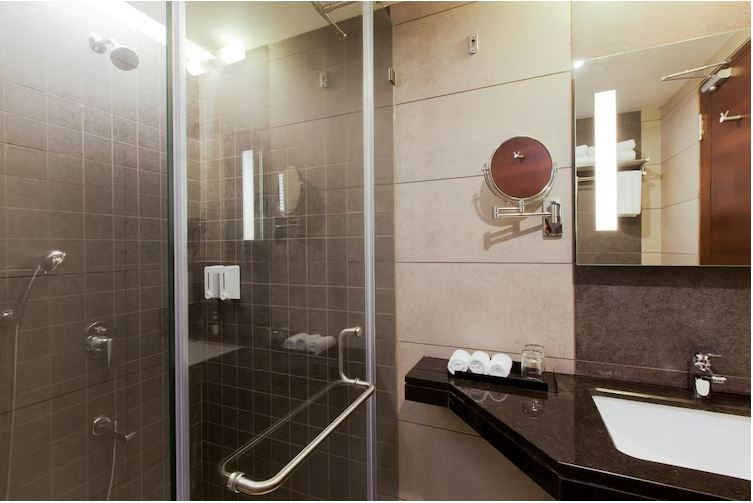 hotel cosmopolitan ahmedabad