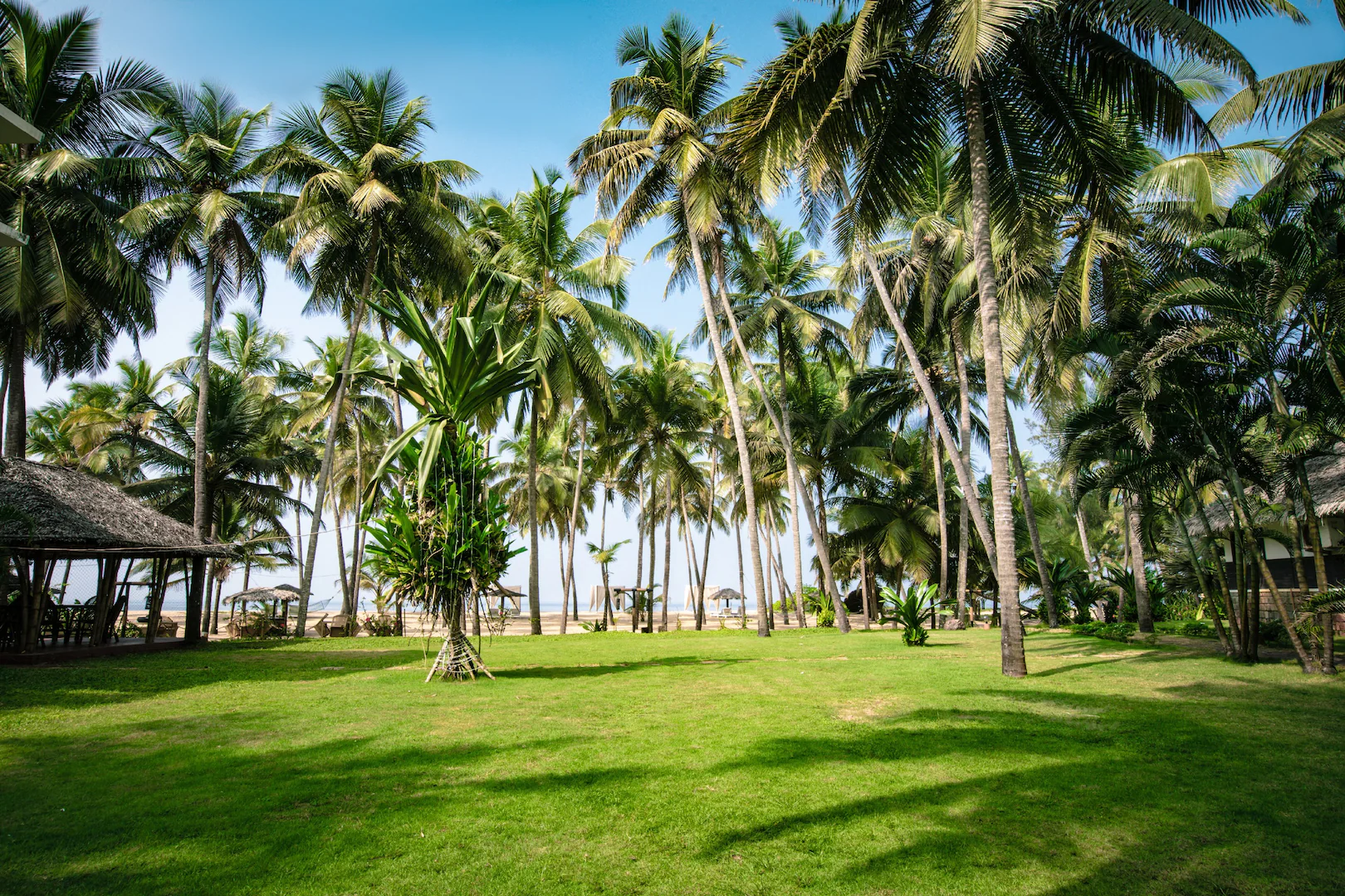 Malabar Ocean Front Resort & Spa,Kasaragod,4 star
