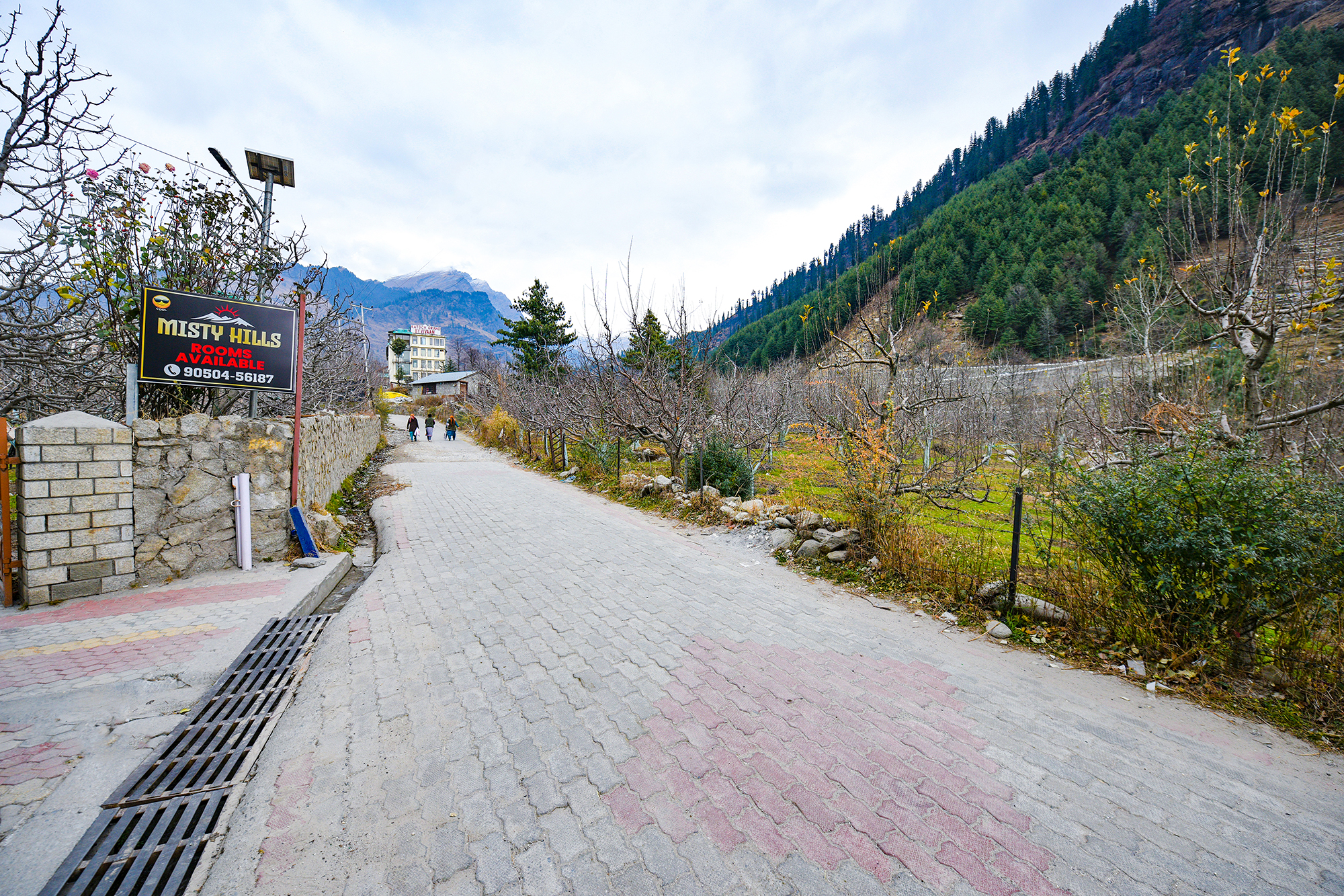 manali