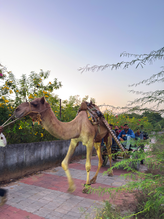 Araavali Trails - A Nature Resort By Hotshot Hotelier,Palanpur>>Danta,3 star