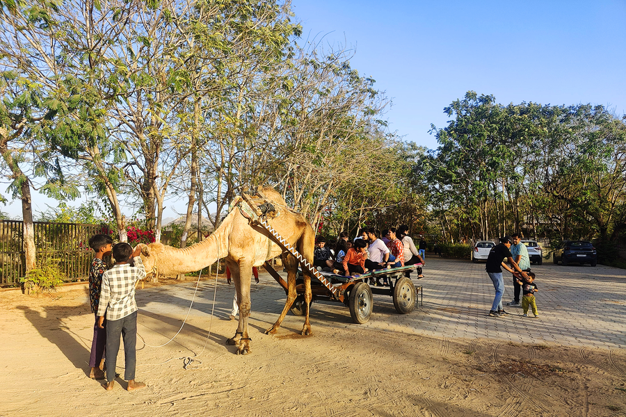 araavali trails a nature resort by hotshot hotelier