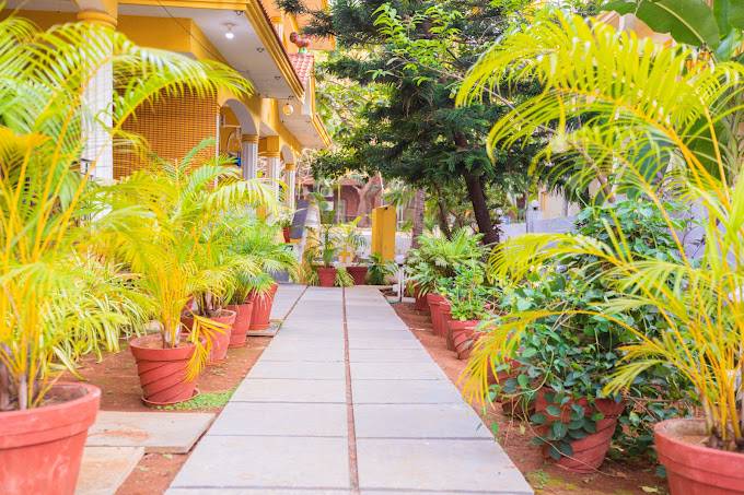 primavera holiday homes