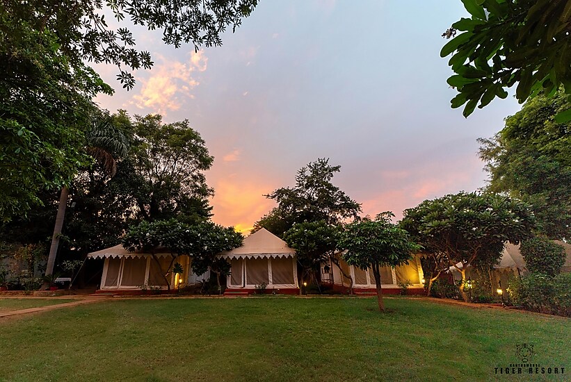 Ranthambore Tiger Resort