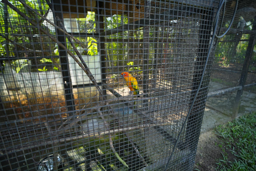 aanandi farm and resort