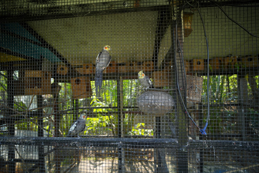 aanandi farm and resort