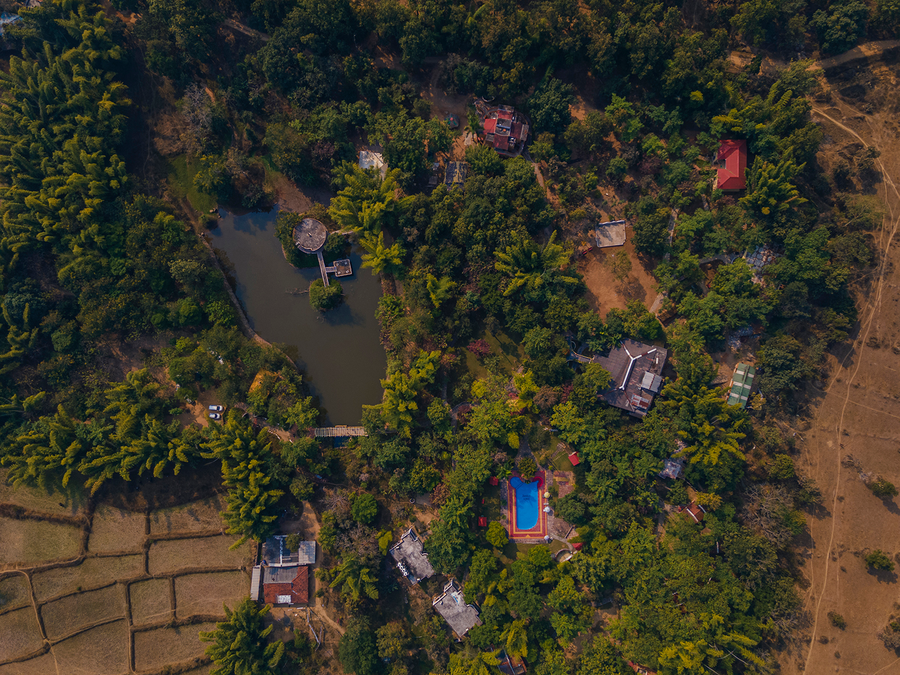 jungle king resort