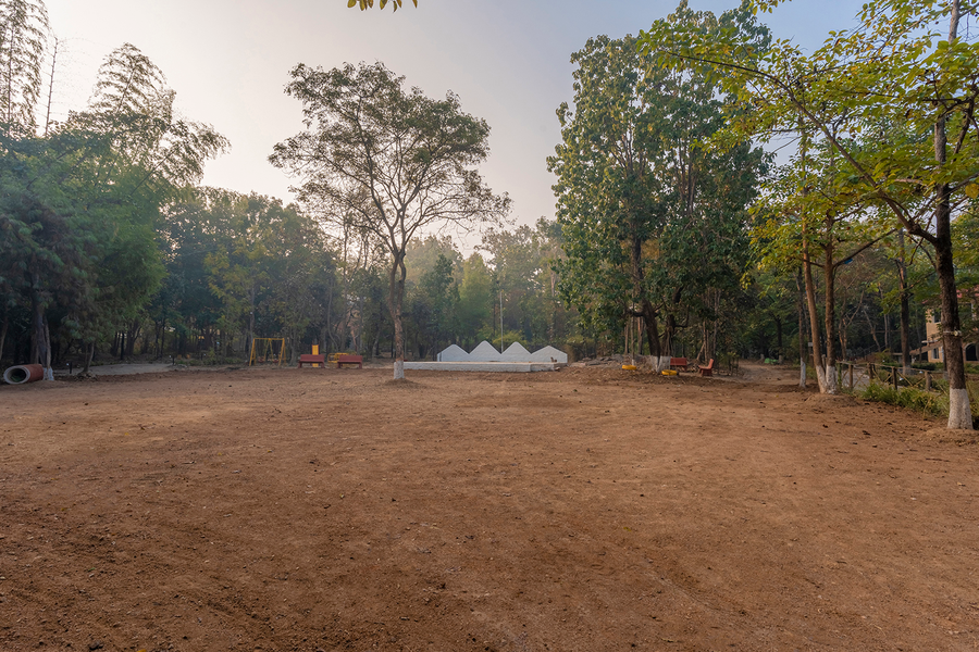 jungle king resort