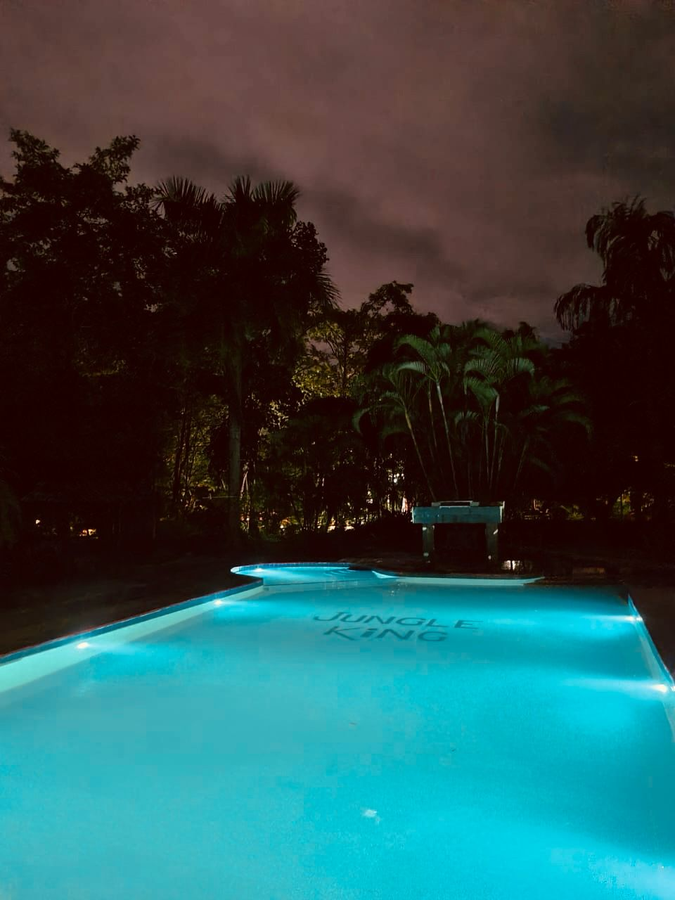 jungle king resort