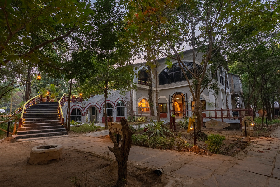 jungle king resort