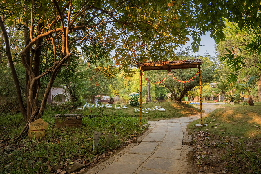 jungle king resort