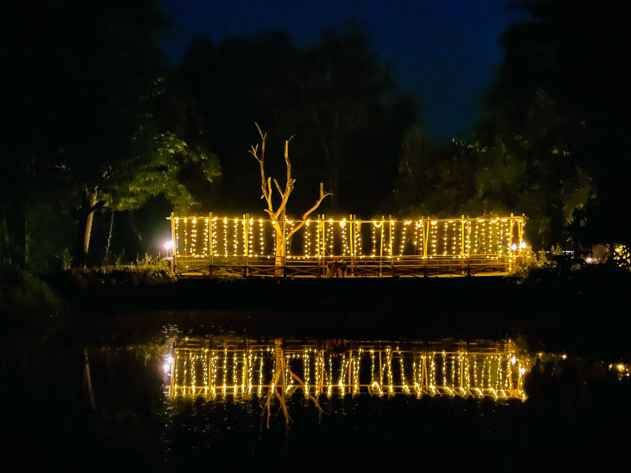 jungle king resort