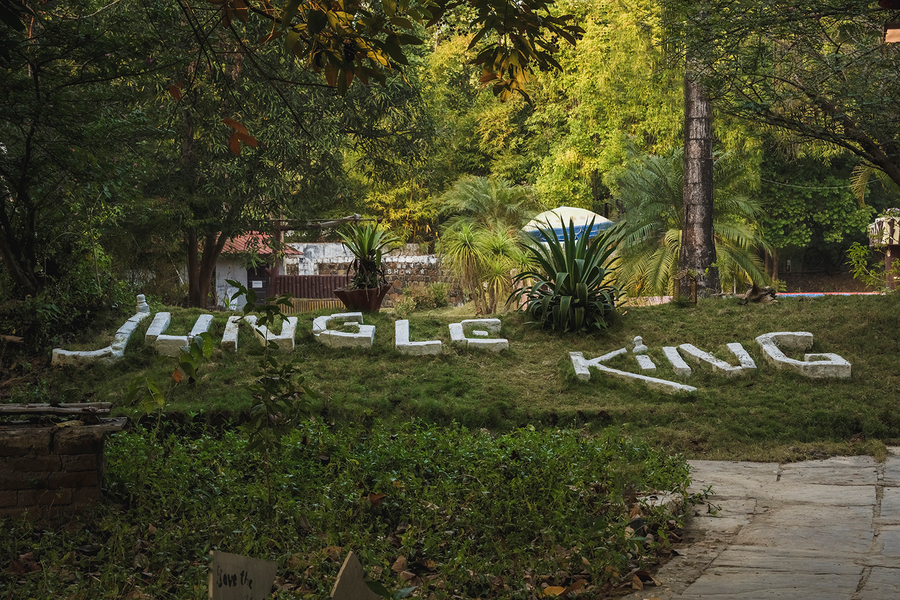 jungle king resort