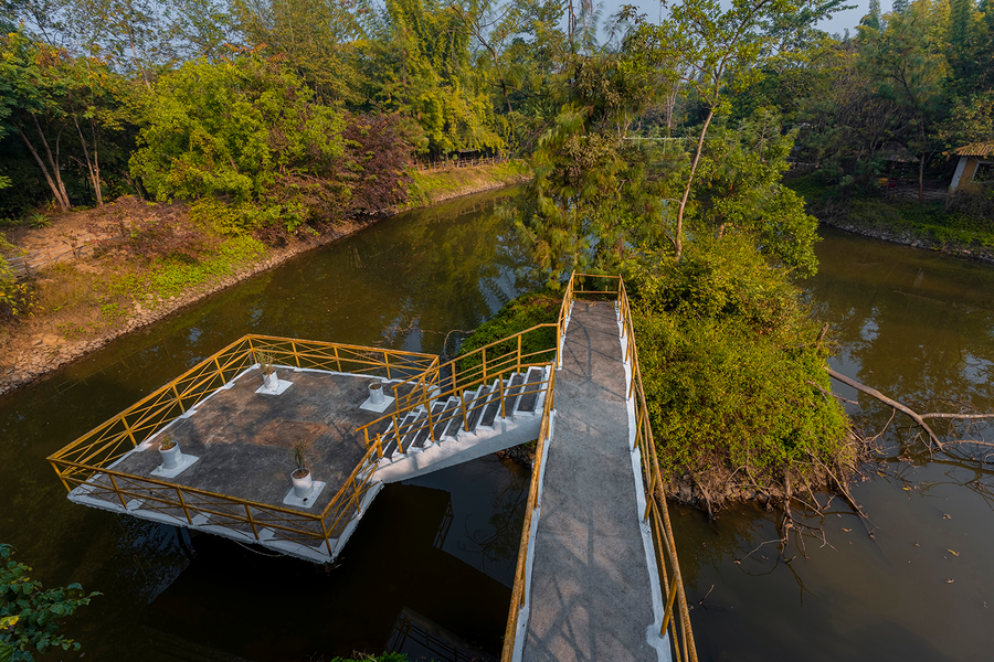 jungle king resort