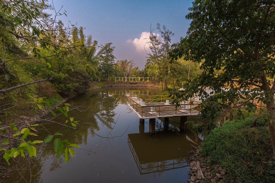 jungle king resort