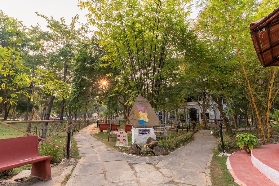 jungle king resort