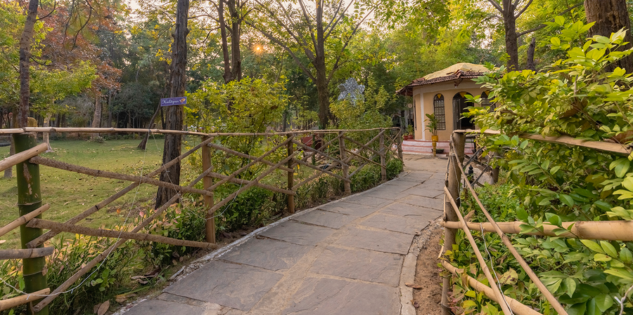 Jungle King Resort,Mandla,3 star