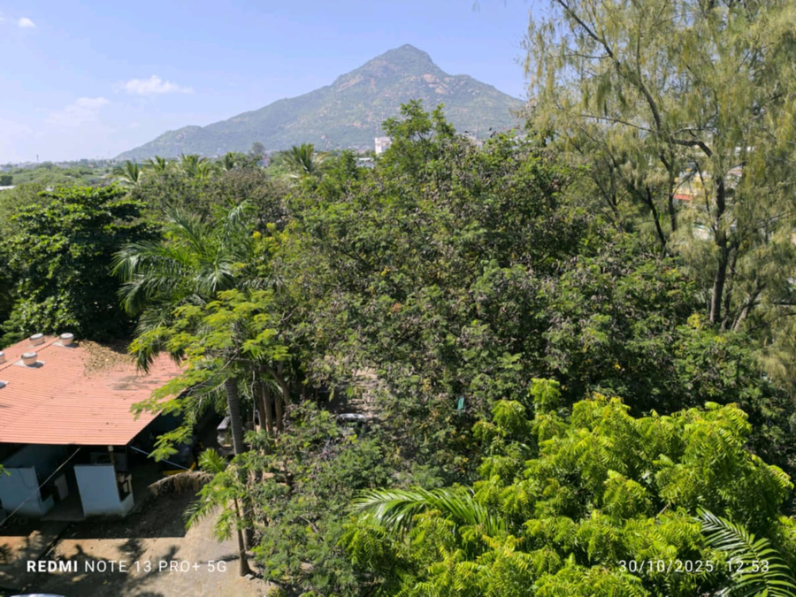 ammayi hotel resorts siva sakthi hotel group