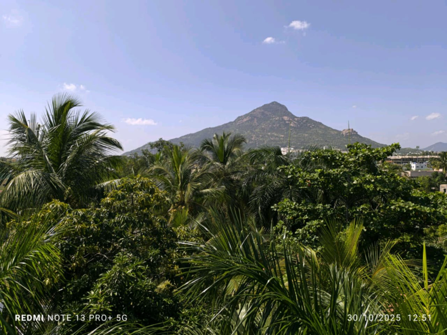 ammayi hotel resorts siva sakthi hotel group