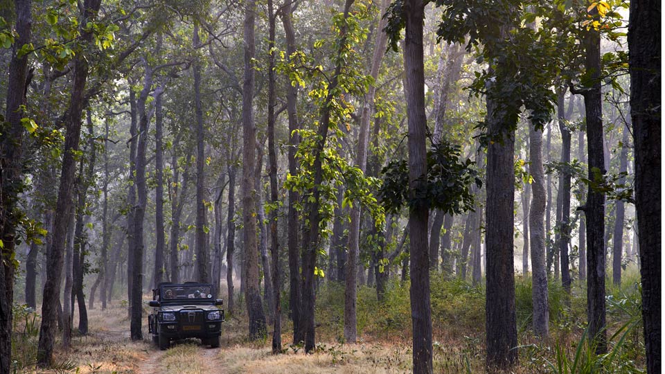 Samode Safari Lodge,Bandhogarh>>Bandhavgarh National Park,5 star